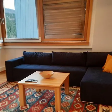 Apartment The Snow Crib Bjelasnica